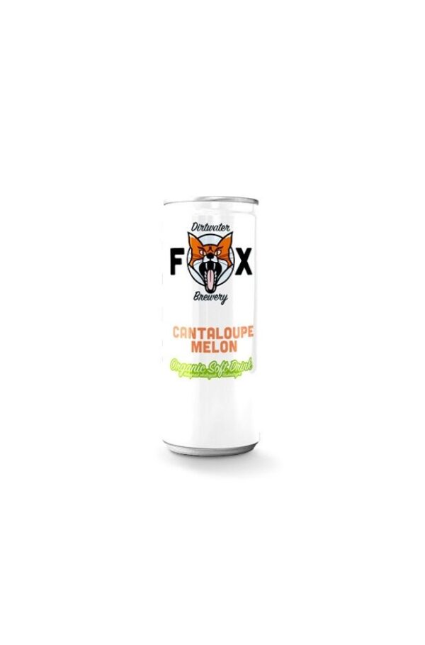 Fox Cantaloupe Melon Organic Soft Drink 250ml