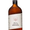 Holy Ginger Pet 750ml